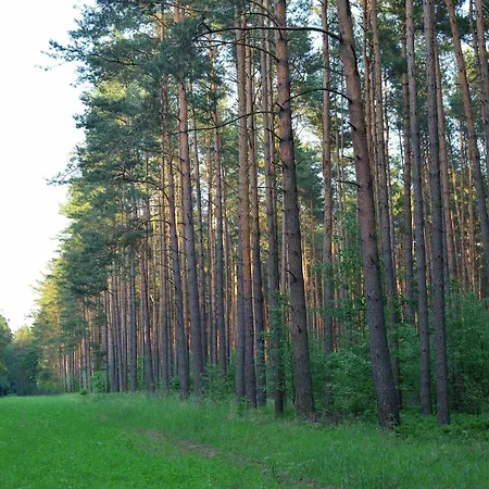 Elite-ferienhaus Mit Garten In Spreenhage 別荘 Spreenhagen
