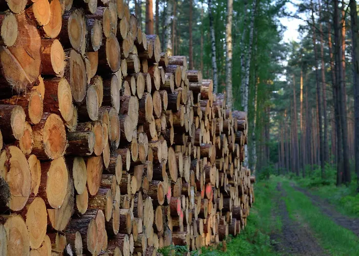 بيت للعطل Elite-ferienhaus Mit Garten In Spreenhage