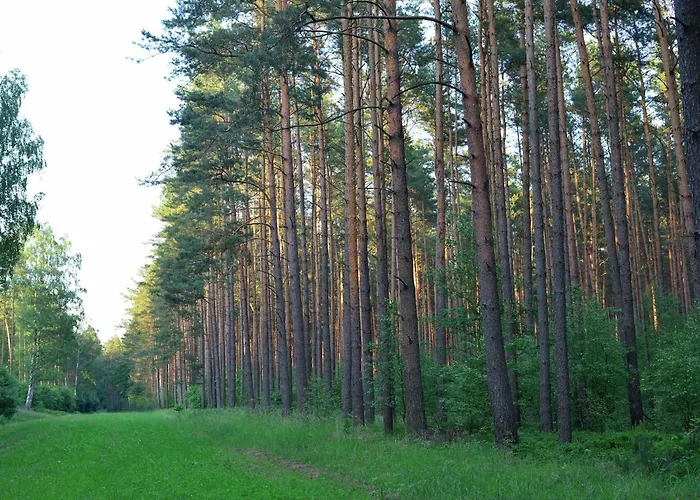 Elite-ferienhaus Mit Garten In Spreenhage بيت للعطل Spreenhagen